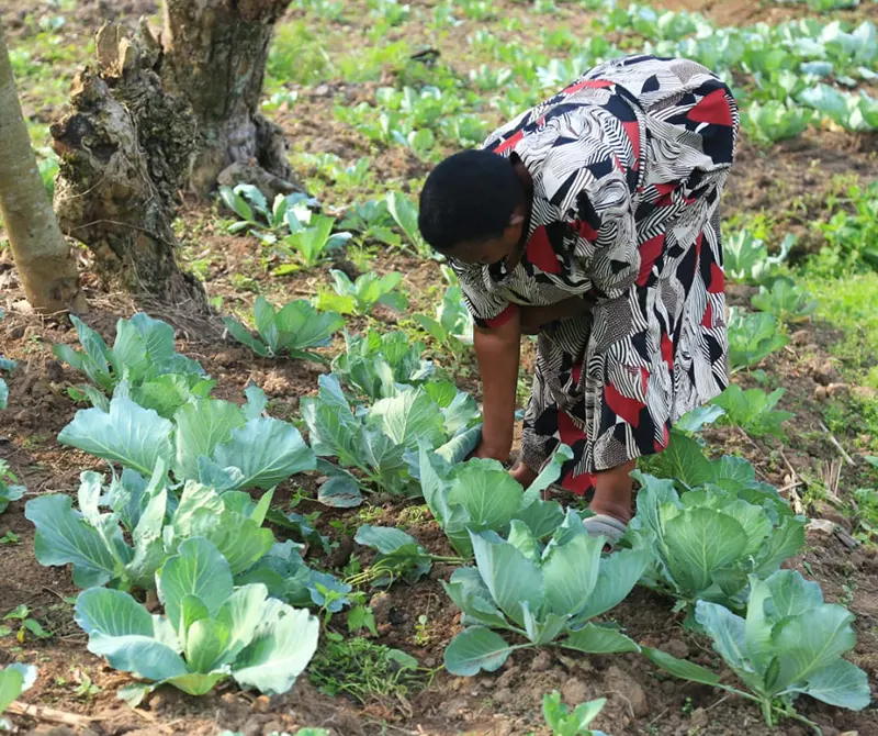 Horticulture Loan