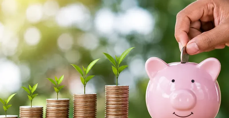 voluntary savings